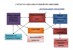 структура образовательной организации